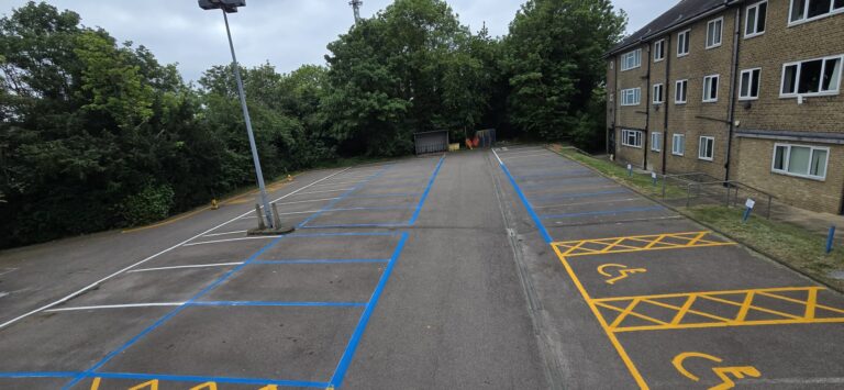 NHS Line Marking London4